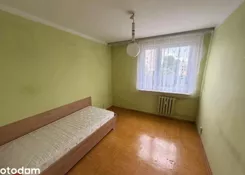 43387 - zdjęcie nr 1