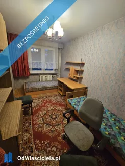 43458 - zdjęcie nr 2