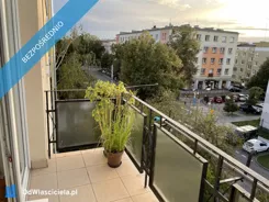 43597 - zdjęcie nr 0