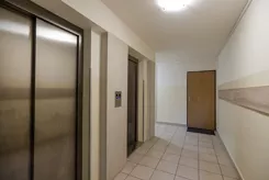41853 - zdjęcie nr 4