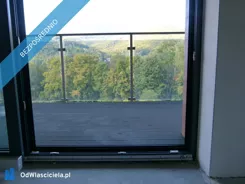 42011 - zdjęcie nr 3