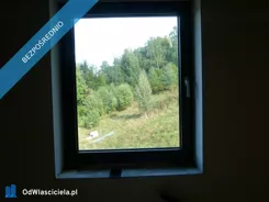 42011 - zdjęcie nr 4