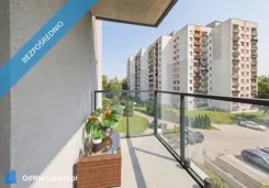 42199 - zdjęcie nr 2