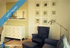 42231 - zdjęcie nr 3