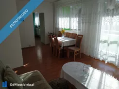43717 - zdjęcie nr 3