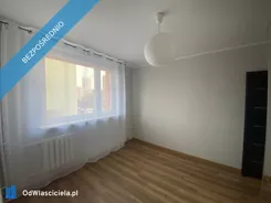 41311 - zdjęcie nr 2