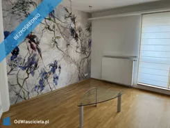 42668 - zdjęcie nr 3