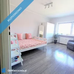 31491 - zdjęcie nr 3