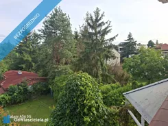 42980 - zdjęcie nr 3