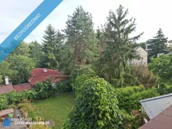 42980 - zdjęcie nr 4