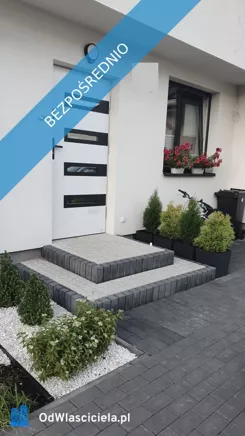 44277 - zdjęcie nr 4