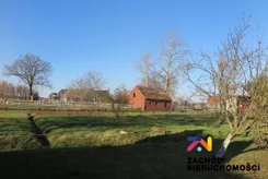163910227 - zdjęcie nr 2