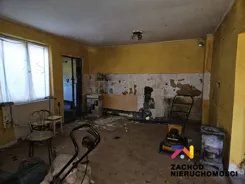 156880227 - zdjęcie nr 3