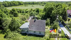166790227 - zdjęcie nr 2