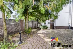 168300227 - zdjęcie nr 4