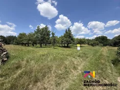 167170227 - zdjęcie nr 1