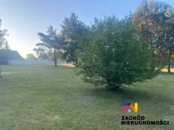 162860227 - zdjęcie nr 3