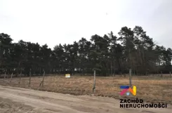 165580227 - zdjęcie nr 1