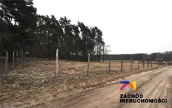 165580227 - zdjęcie nr 2