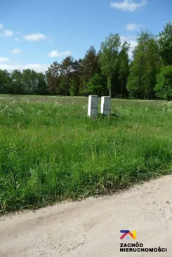 158320227 - zdjęcie nr 2