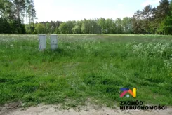 158320227 - zdjęcie nr 3