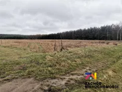 154340227 - zdjęcie nr 3