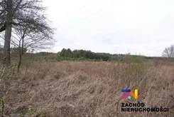 141110227 - zdjęcie nr 2