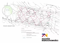 136890227 - zdjęcie nr 0