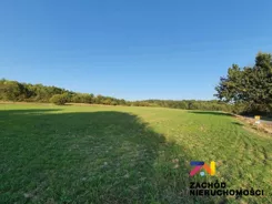 136890227 - zdjęcie nr 1