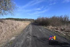 165390227 - zdjęcie nr 3