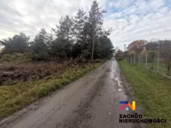 152650227 - zdjęcie nr 3