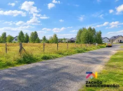 168450227 - zdjęcie nr 2