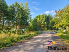 168790227 - zdjęcie nr 3