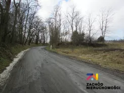 144530227 - zdjęcie nr 1