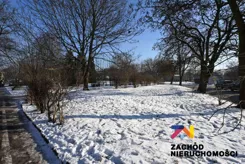 164540227 - zdjęcie nr 2