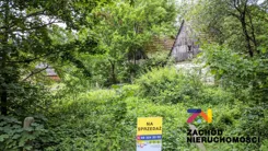 166990227 - zdjęcie nr 3