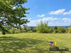 168330227 - zdjęcie nr 1