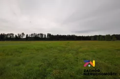 155580227 - zdjęcie nr 1