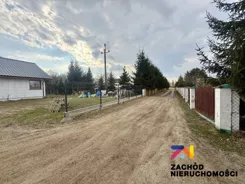 168280227 - zdjęcie nr 1