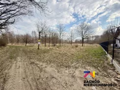 168280227 - zdjęcie nr 2