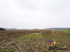 144730227 - zdjęcie nr 2