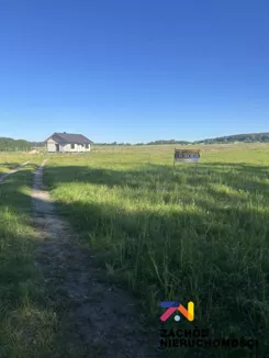 144730227 - zdjęcie nr 5