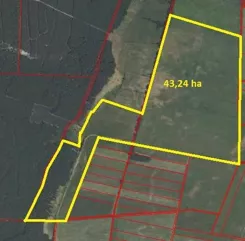 79340227 - zdjęcie nr 2