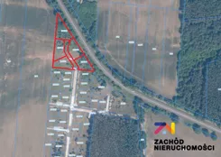168910227 - zdjęcie nr 1