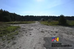 168910227 - zdjęcie nr 2