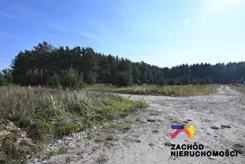 168910227 - zdjęcie nr 4