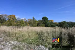 168910227 - zdjęcie nr 5