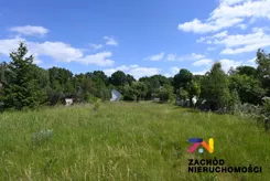 166980227 - zdjęcie nr 3