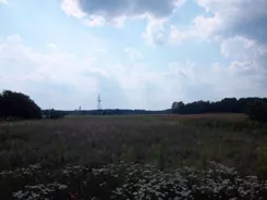 39530227 - zdjęcie nr 1