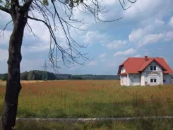 39530227 - zdjęcie nr 2